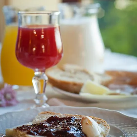 酒店 艾尔伯格拉兰特娜酒店